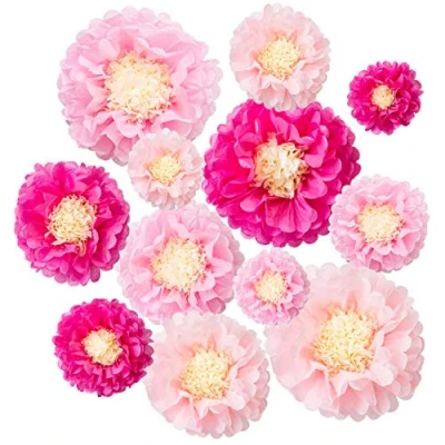 Image de LIHAO 12 Pompons Fleur Papier de Soie Boules à Suspendre pour Décoration Fête Mariage Anniversaire Baby Shower etc.