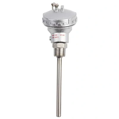 Image de tête de borne thermocouple, sonde capteur température en acier inoxydable 201 RTD PT100, thermocouple à filetage 1/2 &quot;NPT(100mm)