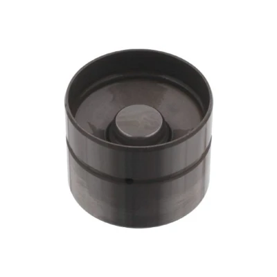 Image de FEBI BILSTEIN 07841 Poussoir hydraulique VOLKSWAGEN: Golf 4, Polo IV 3/5 portes, Passat B5 GP Berline, AUDI: A3 A4 B7 Avant