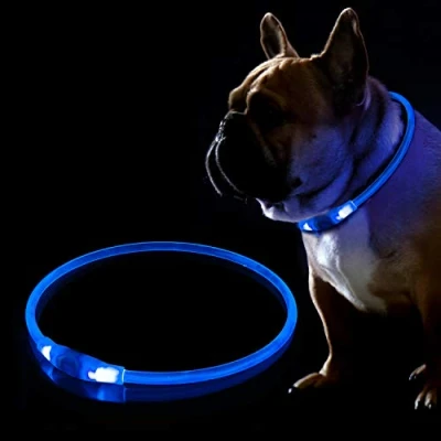 Image de KABB Collier pour Chien LED Rechargeable par USB Clignotant la sécurité Nuit Réglable, étanche et Lumineux Taille Unique Bleu