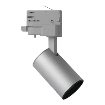 Image de Projecteur LED MEGAMAN MM78934 12 W 950 LM 2800 K Argent