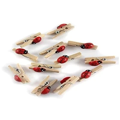 Image de GLOREX Mini Pinces à Linge en Bois Multicolore 11 x 5,6 1 cm 12 unités