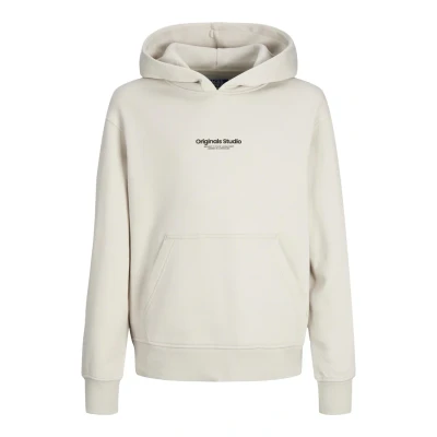 Image de Jack &amp; Jones Junior Jorvesterbro NOOS Sweat à capuche pour enfants, Taille: 152, Moonbeam