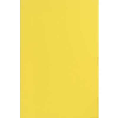 Image de Netuno 25x papier cartonné jaune A4 210x297mm 210g Sirio Color Limone épais de couleur pour tickets anniversaire mariage invitations bricolage Noël cartes vœux brochures menu