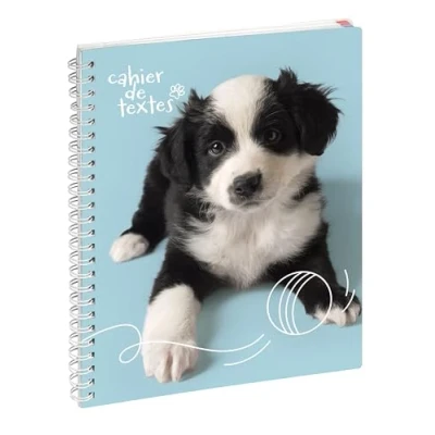 Image de Exacompta Réf. 9991633E 1 Cahier de textes Animaux Chiot Balle 17 x 22 cm Visuel