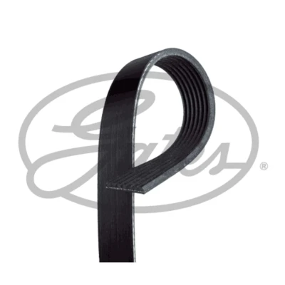 Image de GATES 7PK1753HD Courroie Poly V 1753 7 Polyester, EPDM (éthylène propylène diène caoutchouc) DAF: CF 85