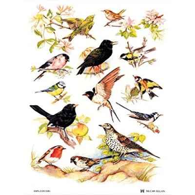 Image de Samuel Lamont Torchon en Coton Motif Oiseaux Britanniques