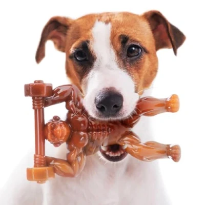 Image de AmeizPet Saveur De Bacon Jouet Chien Indestructible Gorilla, Jeu Résistant Os a Macher pour Chien, Chiot, 100% Nylon Occupation Grand, Médium