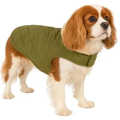Image de Flamingo Manteau pour Chiens Bonnie Vert Taille 40cm (A: 40 cm, B: 34 C: 54 60 cm) Idéal Chihuahua, Teckel, Shih Tzu, Carlin et Cavalier King Charles