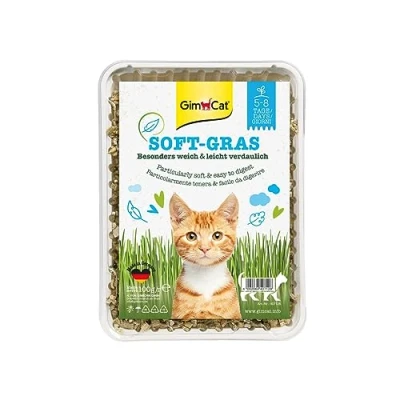 Image de GimCat Soft Gras Herbe à chat tendre et riche en vitamines avec une pousse rapide seulement 5 8 jours 1 barquette (1 100 g)