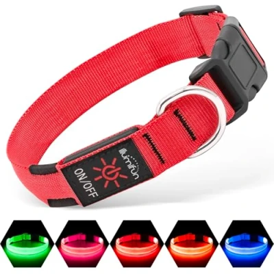 Image de Illumifun Collier Pour chien à LED rechargeable par USB Sangle en nylon lumineuse garder votre sécurité et visible la nuit Rouge Taille L