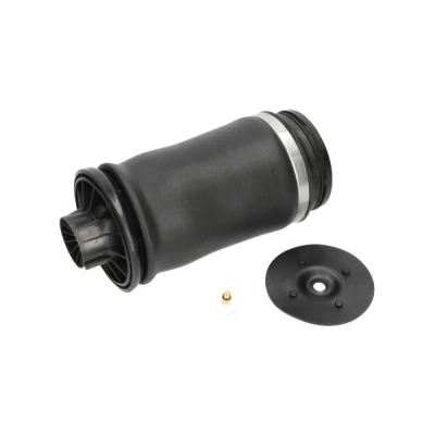 Image de Ressort pneumatique, châssis KAVO PARTS SAS 10010
