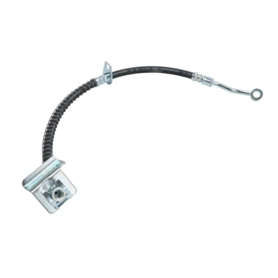 Image de DELPHI LH7042 Flexible De Frein 431 Banjo