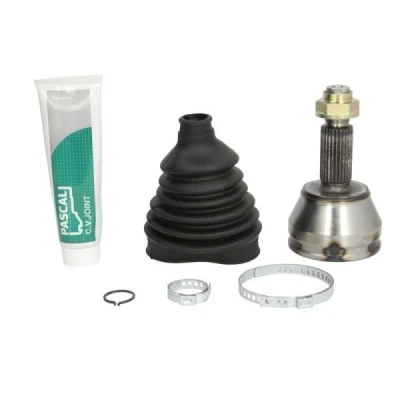 Image de Joint, arbre de commande PASCAL G1G005PC