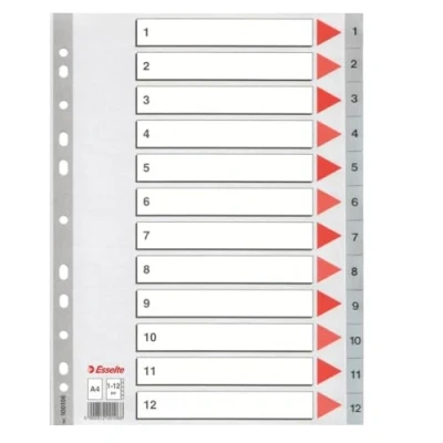 Image de Esselte Intercalaires A4 Touches 1 12, Extra Large, Gris, Onglets Renforcés en Plastique Résistant avec Table des Matières, 100106