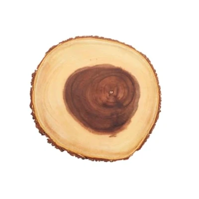 Image de plateau de service en bois Artesa, planche à charcuterie pour les apéritifs ou fromage avec un design naturel, motif d&#039;écorce d&#039;arbre et bords écorce, 21 cm, 1 pièce