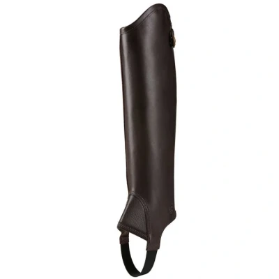 Image de Mini chaps Ariat Concord