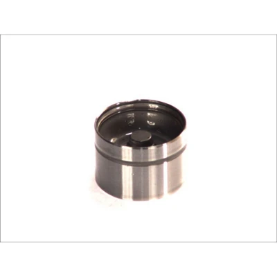 Image de AE FOL165 Poussoir hydraulique Côté d&#039;échappement, Entrée ROVER: 25 3/5 portes, LAND Freelander I SUV, SUV Cabriolet