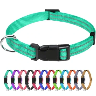 Image de TagME Collier pour Chien, en Nylon Réfléchissant Réglable Classique Convient Chiot et Chat, Turquoise, 1.0cm Largeur