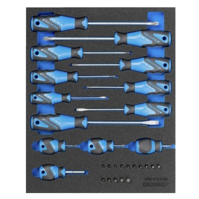Image de GEDORE 2005 CT2 2160 Kit de tournevis dans module d&#039;outil (mousse calage PU)