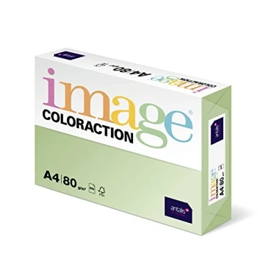 Image de Antalis ColorAction Ramette 500 feuilles papier couleur pour Imprimante jet d&#039;encre/laser/Copieur 80g A4 Vert clair