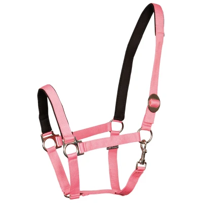 Image de Harry&#039;s Horse Licol bridoonded Cob Rose