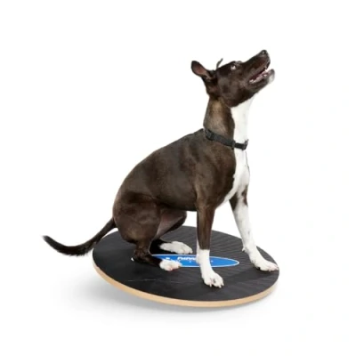 Image de Ball Dynamics Int. LLC FitPAWS Planche d&#039;Equilibre Osciller pour Chien 50 cm