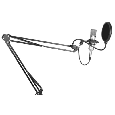 Image de VONYX Microphone de Studio CM400 avec Bras Réglable et Filtre Anti Pop