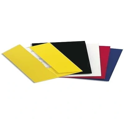 Image de EXACOMPTA Boîte 20 chemises 2 rabats carte 250g CHROMOLUX., coloris noir aspect brillant