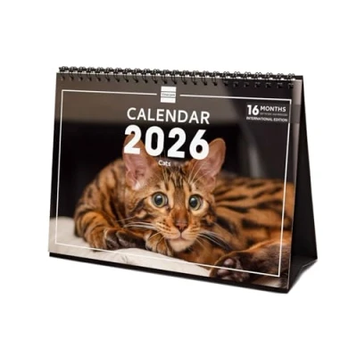 Image de Finocam Calendrier de bureau 2026 1 Mois par page Janvier Décembre + Sept. Déc. 2025 (4 mois) réduits Images Cats International