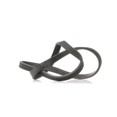 Image de DAYCO 4PK841 Courroie Poly V 841,0 4 AUDI: A4 B6 Berline, Avant, A6 C5 BMW: 3 Compact, Touring, FIAT: Punto II 3/5 portes