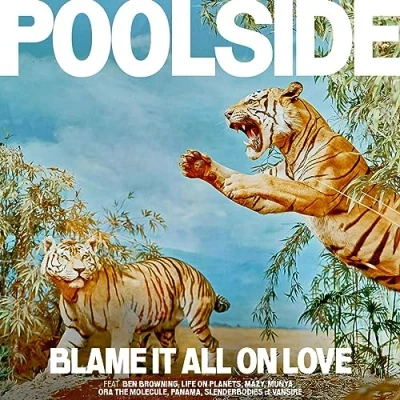 Image de Blame It All on Love