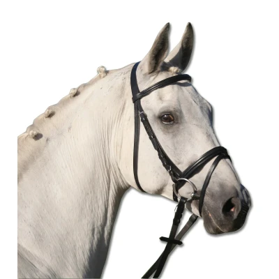 Image de Bridon équitation muserolle combinée Star Lifestyle