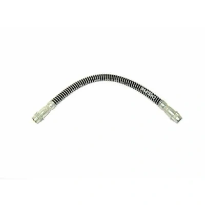 Image de DELPHI LH0280 Flexible De Frein 290 M10x1 Int SF RENAULT: MEGANE 2, Scénic 1, 1