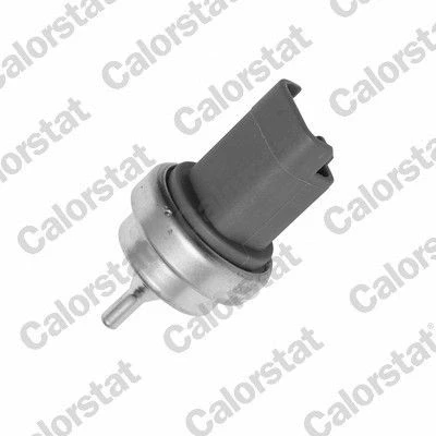 Image de CALORSTAT by Vernet WS3015 Sonde De Température Liquide Refroidissement PEUGEOT: 308 I 3/5 portes, 206 207 portes