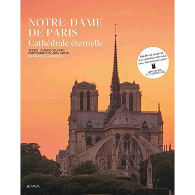 Image de Notre Dame de Paris Livre d’occasion Bon