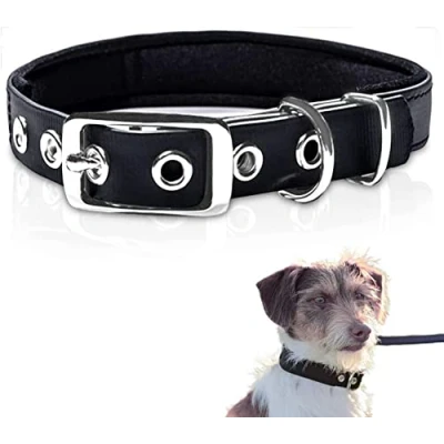 Image de PetTec Collier pour chien en TrioflexTM avec rembourrage résistant aux intempéries et imperméable robuste (rouge, marron, noir, orange)