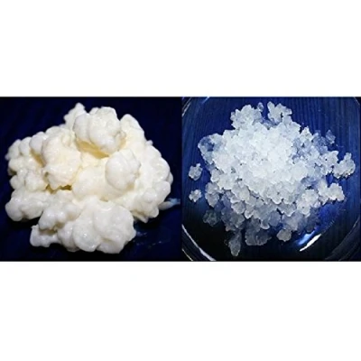 Image de Pack 40g de Granules Kéfir Lait + 100g d’Eau o Fruit Instructions Recettes Aide et conseils en français KEFIRALIA®