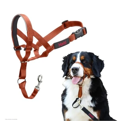 Image de Licol HALTI pour Que Votre Chien arrête de Tirer sur sa Laisse, Facile à Enfiler, Partie entièrement matelassée Le museau, Colliers Anti Traction Grands Chiens (Taille 4, Orange Brûlé)
