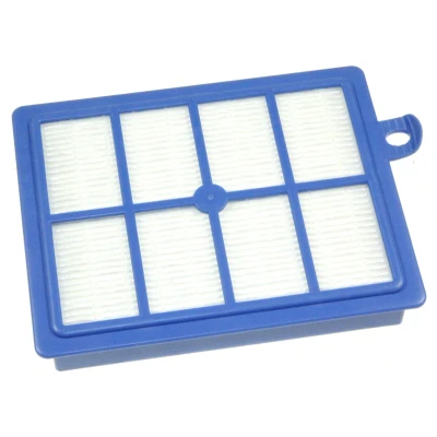 Image de AEG 900167769 ASF1W Allergie Plus Filtre lavable pour Aspirateur