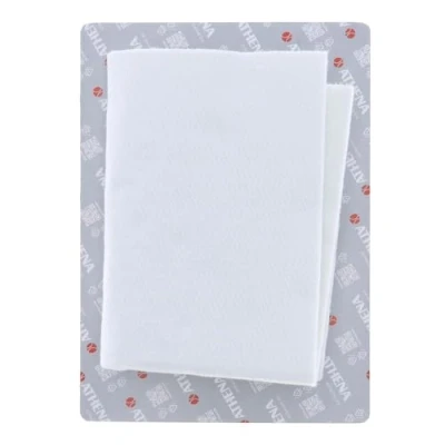 Image de Accessoires, Silencieux ATHENA S410000999001