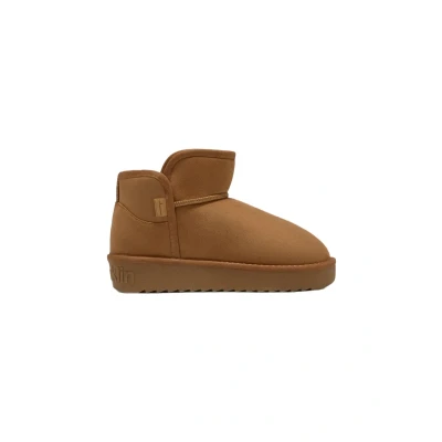 Image de Bottines nordique femme D.Franklin Low Basic