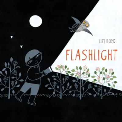 Image de Flashlight: (Picture Books, Wordless Books for Kids, Camping Bedtime Story Children&#039;s Activity Nature Books): 1 (Junior Library Guild Selection)