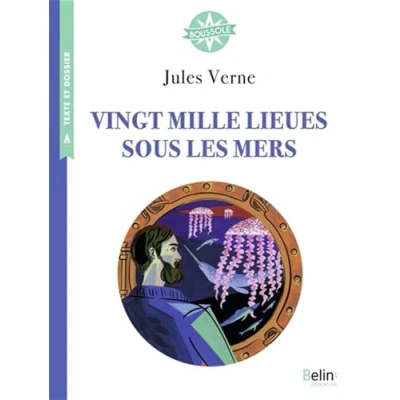 Image de Vingt mille lieues sous les mers: Boussole Cycle 3 Livre d’occasion Correct