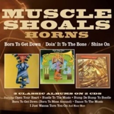 Image de Born Get Down/Doin&#039; It to The Bone/Shine on