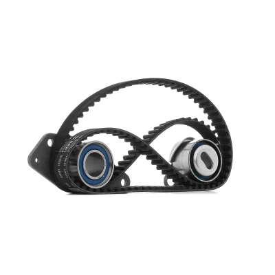 Image de SKF VKMA 06101 Kit de distribution 125 avec une denture arrondie RENAULT: R11 3/5 portes, 21 Break, Super 5 VOLVO: 480 E, 460 L, 440 K