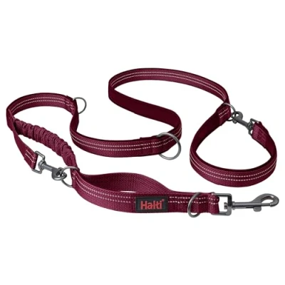 Image de Laisse Multifonctions HALTI Anatomy réfléchissante à Double extrémité Absorbant Les Chocs, idéale pour promenades et l’éducation des Chiens. Convient aux Chiots (Taille L, Magenta)