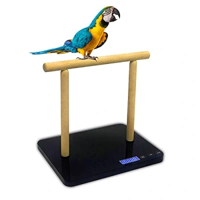 Image de MINDPET MED Balance pour oiseaux, noir, précision jusqu&#039;à ± 1 g, convient aras, perroquet et tous types d&#039;oiseaux