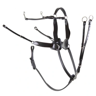 Image de Premiere Pectoral Cob Noir