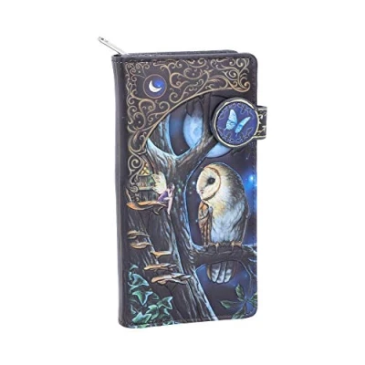 Image de Nemesis Now Lisa Parker B4864P9 Porte Monnaie Motif fée et Hibou 18,5 cm Noir Taille Unique